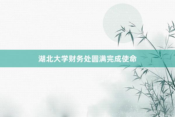 湖北大学财务处圆满完成使命