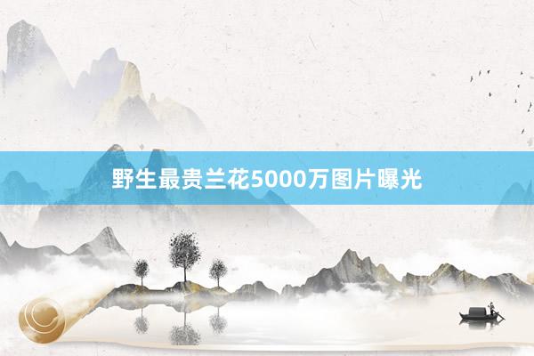 野生最贵兰花5000万图片曝光